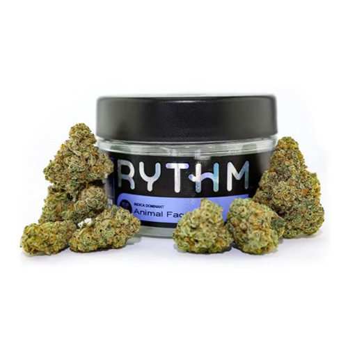 RYTHM Animal Face indica-dominant cannabis flower with dense buds displayed around a labeled glass jar, available at Midnight Greens Dispensary.